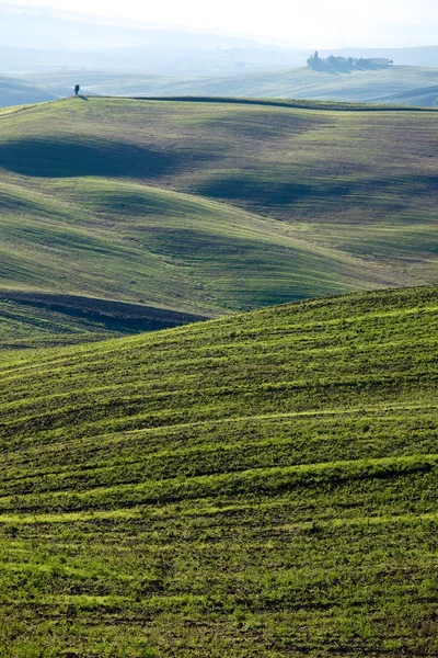 Campagna Toscana, Paesaggio italiano — Foto Stock