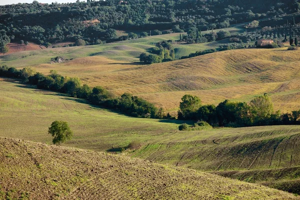 Campo Toscano, Paisagem italiana — Fotografia de Stock