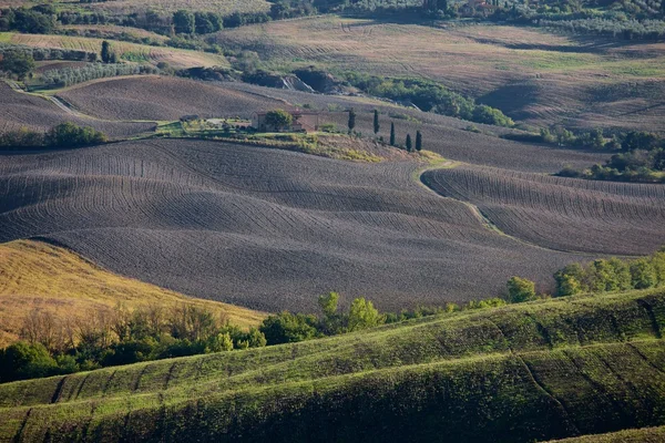 Campo toscano, Paisaje italiano —  Fotos de Stock