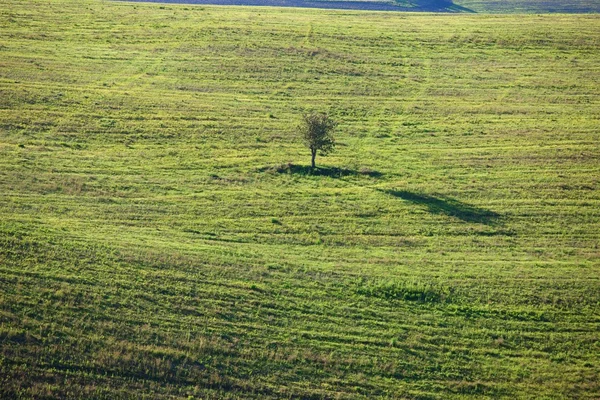 Campagna Toscana, Paesaggio italiano — Foto Stock