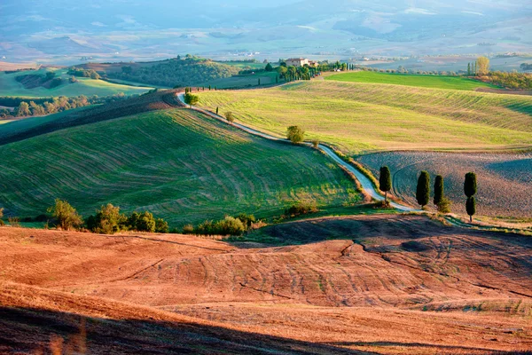 Campo Toscano, Paisagem italiana — Fotografia de Stock