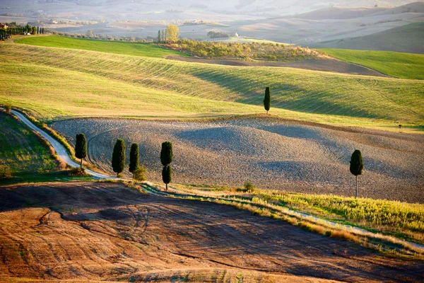 Campo Toscano, Paisagem italiana — Fotografia de Stock