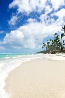 Tropik cenneti - beyaz kum plaj