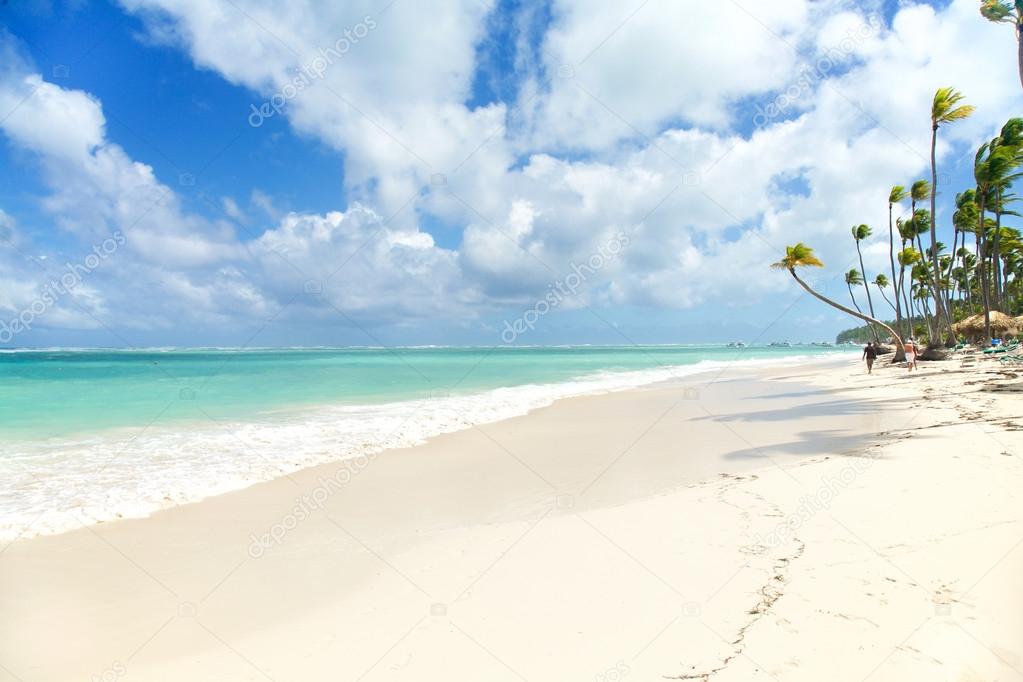 Tropical Paradise - White Sands Beach