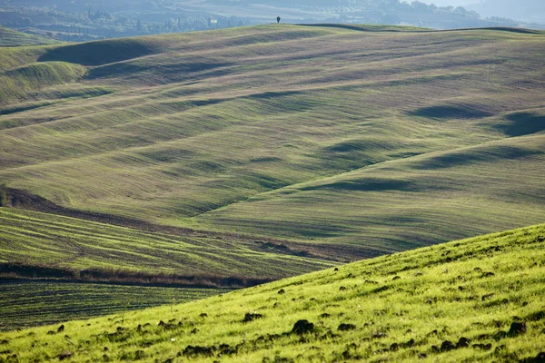 Campo Toscano, Paisagem italiana — Fotografia de Stock