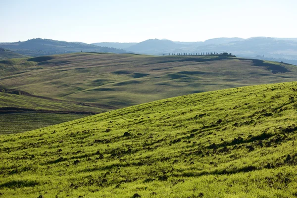 Campo Toscano, Paisagem italiana — Fotografia de Stock