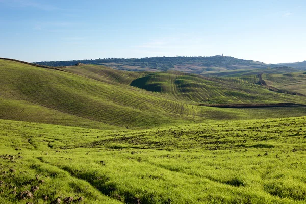 Campo Toscano, Paisagem italiana — Fotografia de Stock