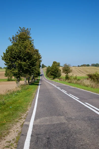 Landvei – stockfoto