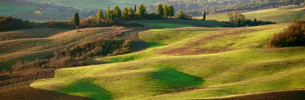 Tuscan Countryside, Italian landscape — Stock Photo, Image