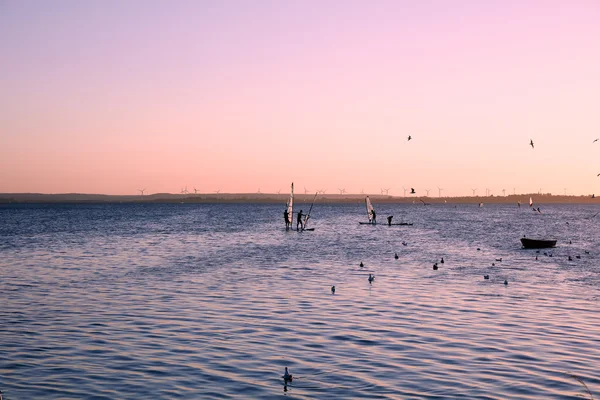 Windsurfers , Baltic sea, Bay of Puck — Stock Photo, Image