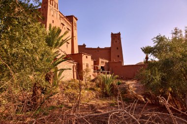 Fas 'ın Ouarzazate kenti yakınlarındaki geleneksel bir çamur tuğlası şehri olan Ait Benhaddou Çarı, parlak bir günde ön planda bitki örtüsüyle berrak bir gökyüzüne karşı duruyor..