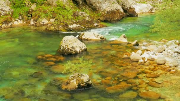 Гірська річка тече серед каменів, водна текстура — стокове відео
