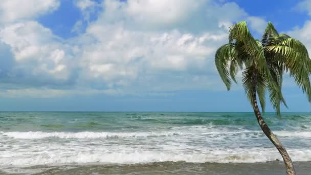 Palmenstrand und Meer in Hotelnähe — Stockvideo
