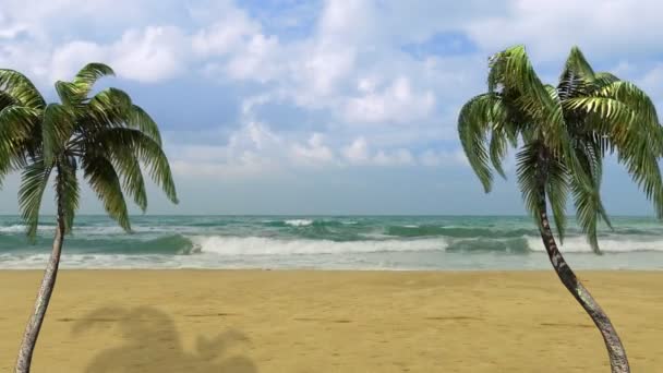 Palm Beach et la mer près de l'hôtel — Video