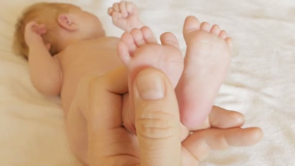 Soft newborn baby feet — Stock Video