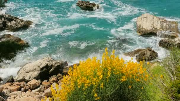 Côté mer au Monténégro, vagues de la mer — Video