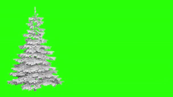 Белая Рождественская Елка Покрытая Снегом Вращается Зеленом Экране — стоковое видео