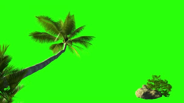 棕榈树和草丛 绿色背景上有石头 海上掌心键合的3D动画 — 图库视频影像