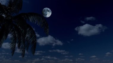 Geceleri ay ışığı altında palmiye ağacı ve deniz kenarında tropikal bir tatil için bulutlar..