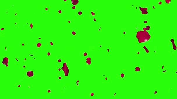 情人节动画红玫瑰花瓣飘落 在绿色的背景上旋转 空白的关键 — 图库视频影像