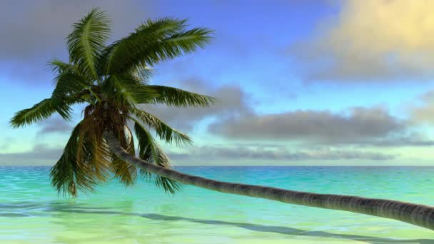 Hermoso Paisaje Tropical Palmera Nocturna Sobre Las Olas Del Mar — Vídeo de stock