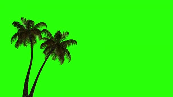 Animazione Due Palme Nel Vento Uno Schermo Verde Schermo Verde — Video Stock