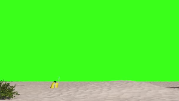 Animation Blank Beach Holiday Green Screen Beach Sand Which Umbrella — Stock Video