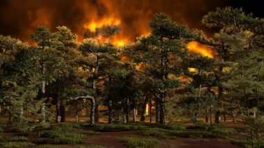 Çam ormanında bir yangın, ağaçlar ve otlar yanıyor, ekolojik bir felaket..