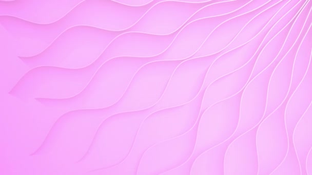 Render Abstract Wave Motion Pink Lines Background Texture Splash Background — Stock Video