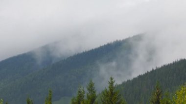 bulutlar dağlar içinde hareket