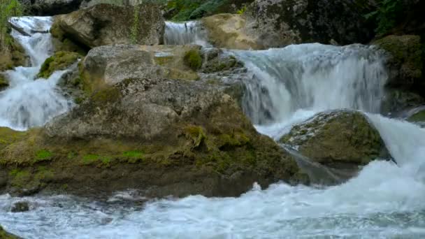 Fiume di montagna — Video Stock