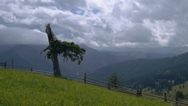 Mouvement des nuages dans les montagnes 