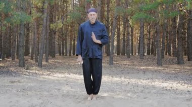 Wushu, wu hsing (beş element) Ukrayna REM Plugatar.Master