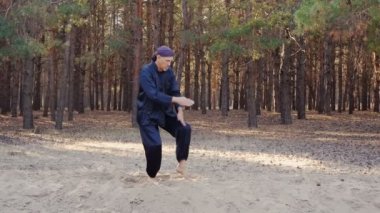 Wushu, wu hsing (beş element) Ukrayna REM Plugatar.Master