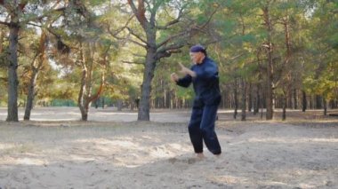 Wushu, wu hsing (beş element) Ukrayna REM Plugatar.Master