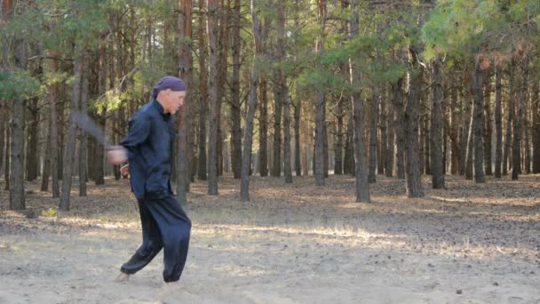 Rem Plugatar.Master van wushu, wu hsing (vijf elementen) uit Oekraïne — Stockvideo