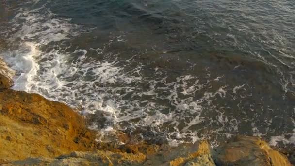 Sea beach in storm — Stock Video