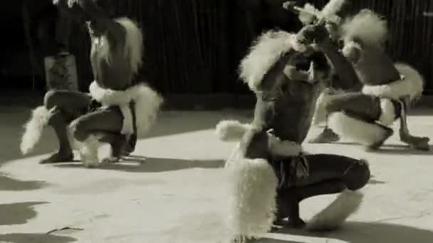 Danses folkloriques du Botswana et d'Afrique . — Video