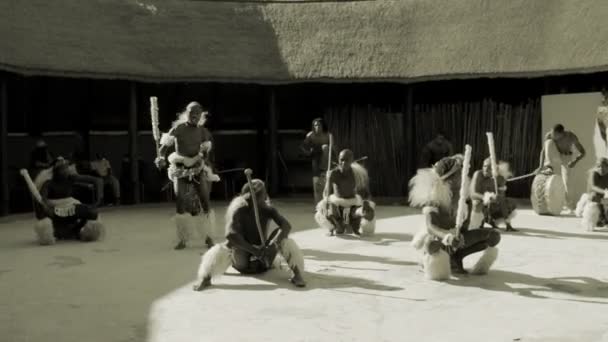 Danses folkloriques du Botswana et d'Afrique . — Video