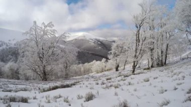 Dağlarda kış manzarası