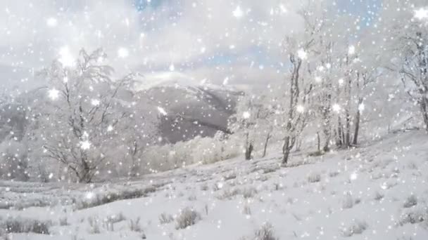 Nieuwjaar winter achtergrond — Stockvideo