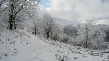 Dağlarda kış manzarası