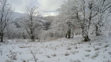 Dağlarda kış manzarası