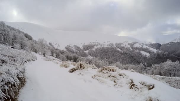 Зимний пейзаж в горах — стоковое видео