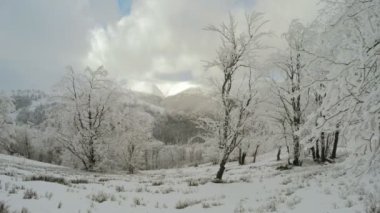 Dağlarda kış manzarası