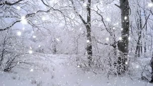 Nieuwjaar winter achtergrond — Stockvideo