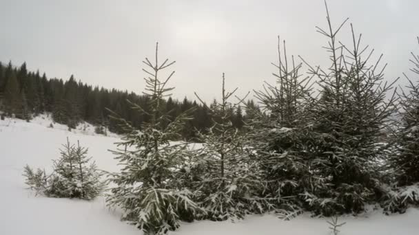 Zimowy krajobraz w górach — Wideo stockowe