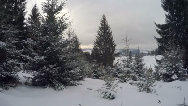 Paisagem de inverno nas montanhas — Vídeo de Stock