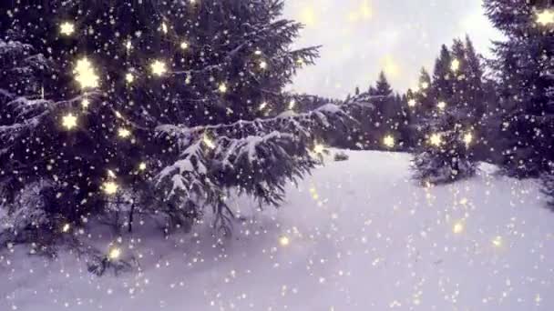 新的一年冬天背景 — 图库视频影像