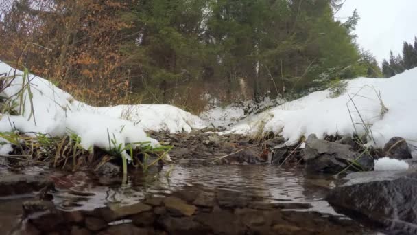 A neve derrete, o riacho flui — Vídeo de Stock